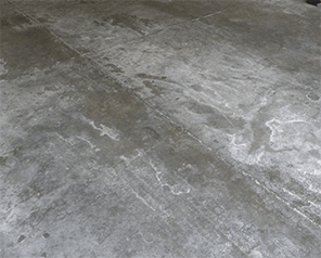 Pico X Health Mould and Efflorescence