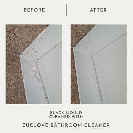 Euclove All Natural Bathroom Cleaner Pico X