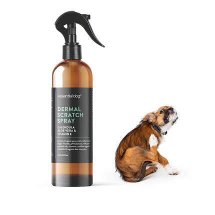 Dermal Scratch Spray for Dogs: Aloe Vera, Calendula & Vitamin E Pico X