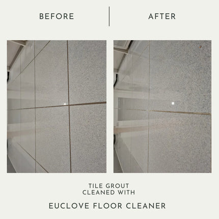 Euclove All Natural Floor Clener Pico X