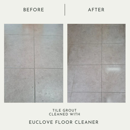 Euclove All Natural Floor Clener Pico X
