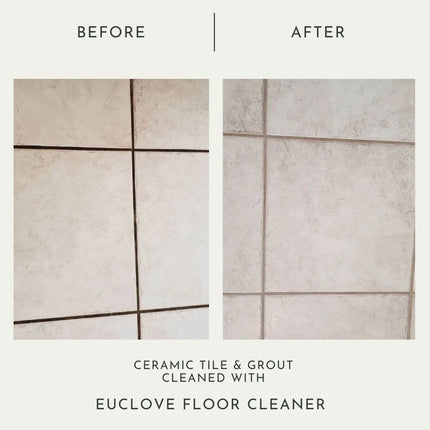 Euclove All Natural Floor Clener Pico X