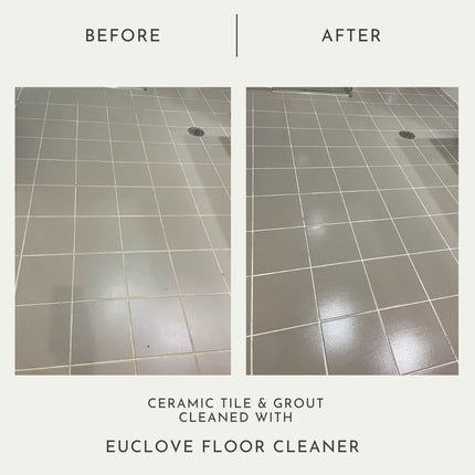 Euclove All Natural Floor Clener Pico X
