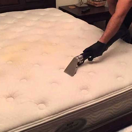 Clean, Steam and Protect Your Sofa, Curtains and Mattresses Pico X