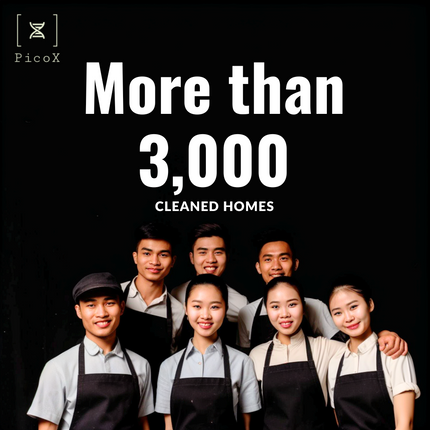 Eco-Friendly Professional Cleaning Service Pico X