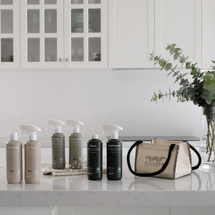 Eco-Friendly Professional Cleaning Service Pico X