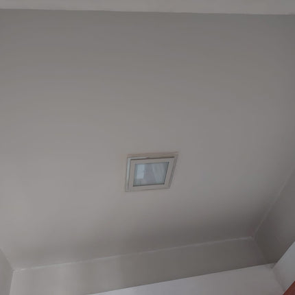 Mould Removal And Protection Services Pico X