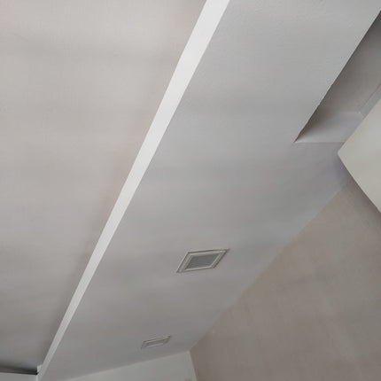 Mould Removal And Protection Services Pico X