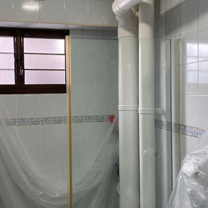 Mould Removal And Protection Services Pico X