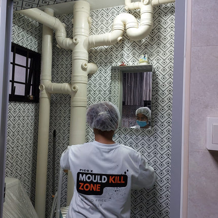 Mould Removal And Protection Services Pico X