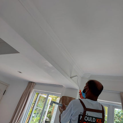 Mould Removal And Protection Services Pico X