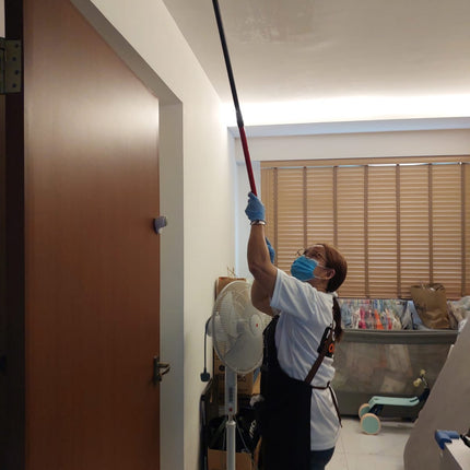 Mould Removal And Protection Services Pico X