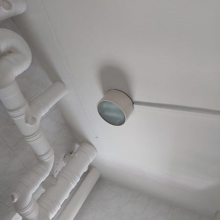 Mould Removal And Protection Services Pico X
