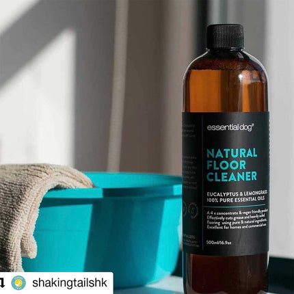 Natural Anti Bacterial Floor Cleaner 4 x Concentrate: Lemongrass and Eucalyptus Pico X