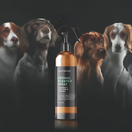 Dermal Scratch Spray for Dogs: Aloe Vera, Calendula & Vitamin E Pico X