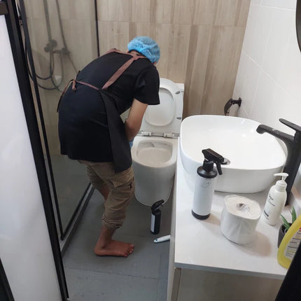 Eco-Friendly Professional Cleaning Service Pico X