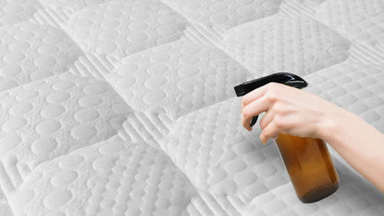 Clean, Steam and Protect Your Sofa, Curtains and Mattresses Pico X