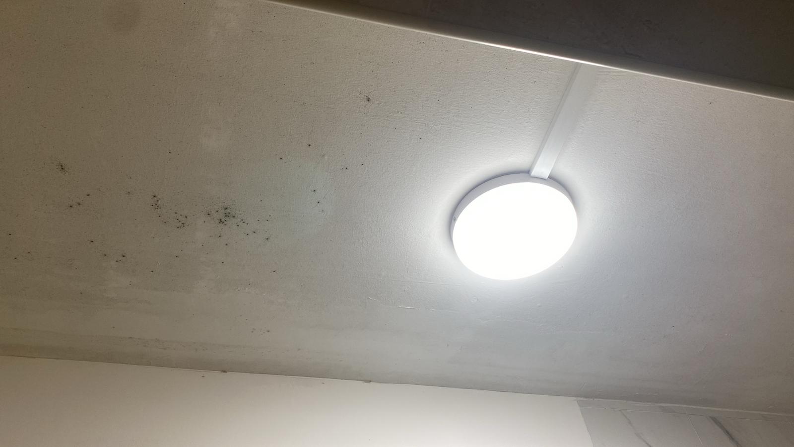 Pico X Health Mould eradication 