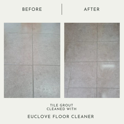 Euclove All Natural Floor Clener Pico X 