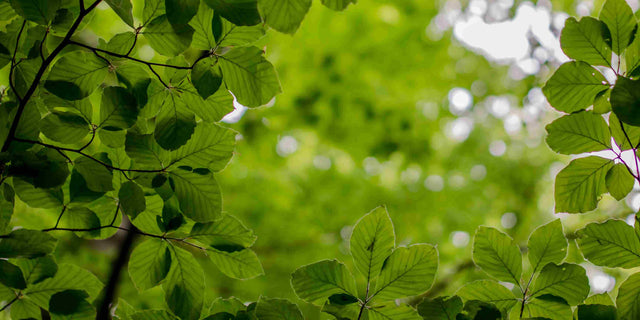 Cleaning service Singapore 