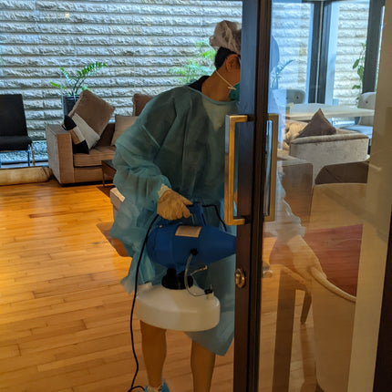 Basic Disinfecting Service For Home Pico X 